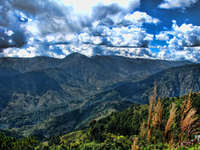 Mt_pulag-_img_2768