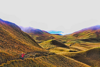 Mt_pulag-img_4402