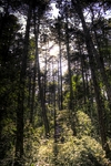 Img_1884_hdr_