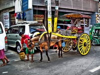 Calesa_parked_at_palanca_st_near_sm_clearance_store