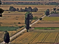 Viewhdr