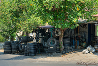 Dsc_2022_16_17_18_19_20_21x900