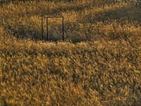 Wellhdr