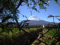 Fotos_de_arequipa_2009_072