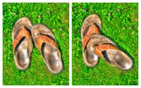 Soles_of_summer