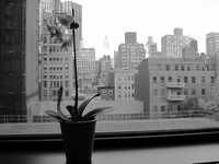 Img_0466