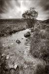 East_dart_falls