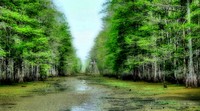 Dsc01026_ort2hdr