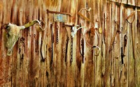 Eds_9301hdr