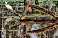 Eds_0042hdr2
