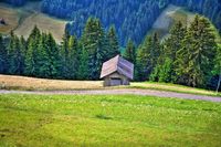 Dolomiti