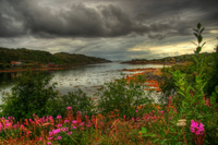 Hdr_20