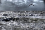 Tackling-the-storm