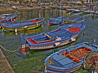 P5040265hdr2