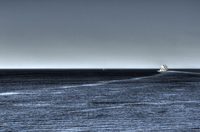 Mare