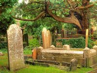 The_old_headstones_a
