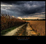 Farm-road-dusk