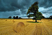 Hdr_edited-3