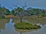 Kapama-lake