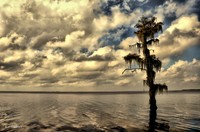 Solitary_hdr_post