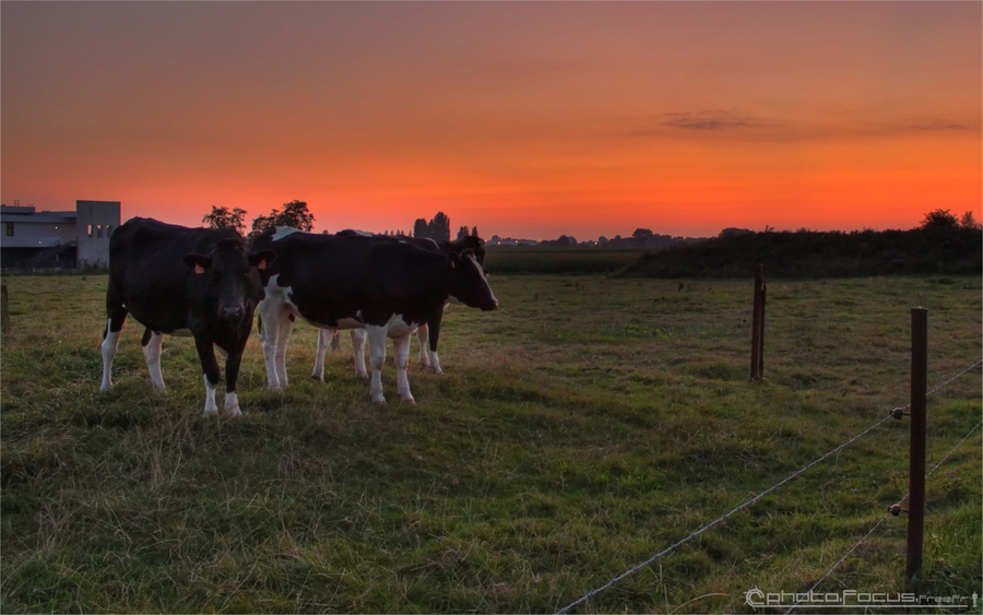 Img_0915_6_7_tonemapped_filtered_rec_tag