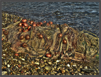 P9051114hdr
