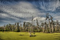 Swampcloudshdr