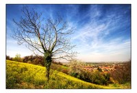 Effetto_primavera