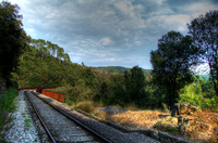 Le_petit_train_des_cevennes