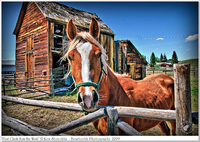 Post_cards_from_the_west