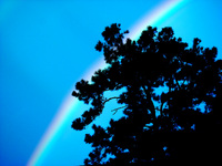 08-0720_006