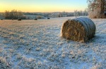 Hay-bales-on-ice