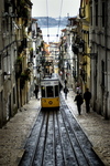 Tram