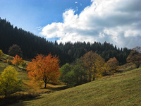Rugova_ii