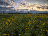 Lake-erie-metropark-26_27_28_29_30-edit