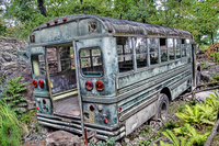 Hdr-zoom-bus