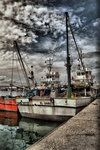 Dscf0060_514x768