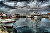 Dscf0092_1024x685