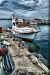 Dscf0093_514x768