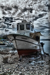 Dscf0098_514x768