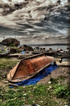 Dscf0100_514x768