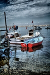 Dscf0117_514x768