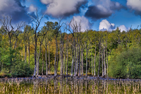 Hdr-weiher2-finish
