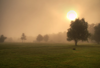 Dsc_4040-raw_copy