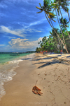 Beach2_3_