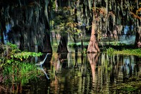 Hdr9shot