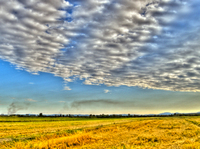 Dscn7532_3_4_tonemapped