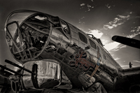 B17_nose_