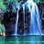 Nature4