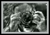 Mirror_fused_nikon_w_border